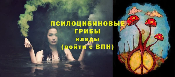дмт Покровск