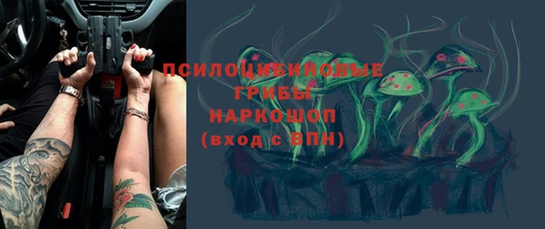 дмт Покровск