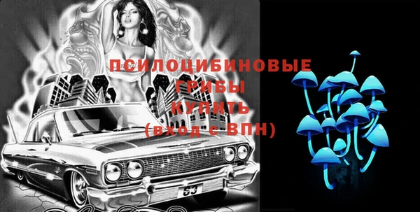 гашик Переславль-Залесский